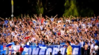 aficion-1.jpg