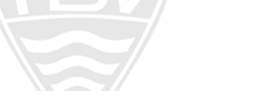 ibv.png