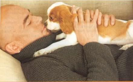 7320-pascal-obispo.jpg Ami des n\'animaux image by nanievivoune