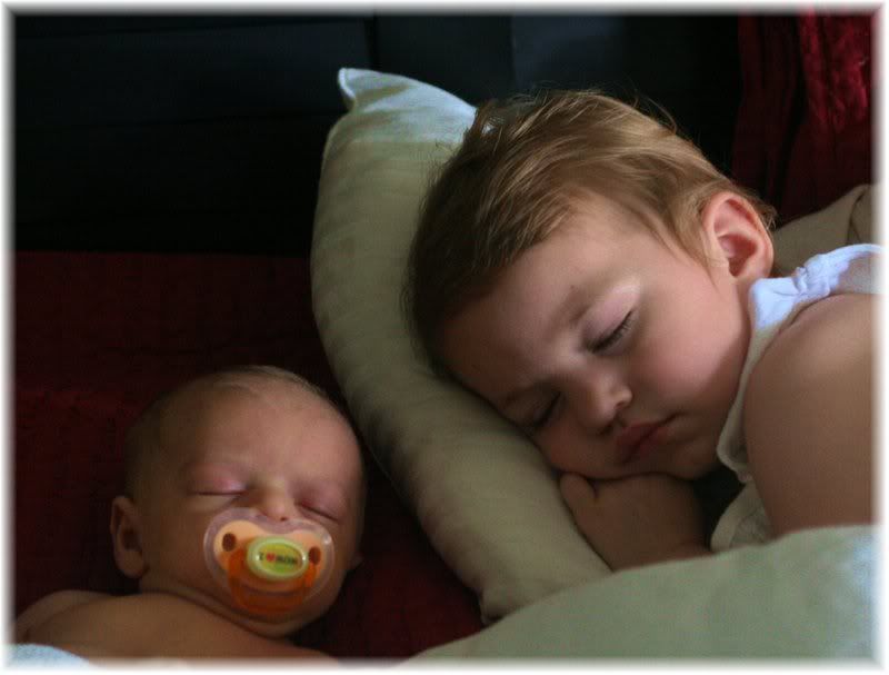 Holden1mo010.jpg
