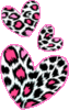 leopard heart,* Pictures, Images and Photos