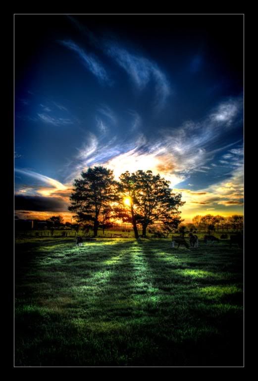 Epiphany by The Saboteur2