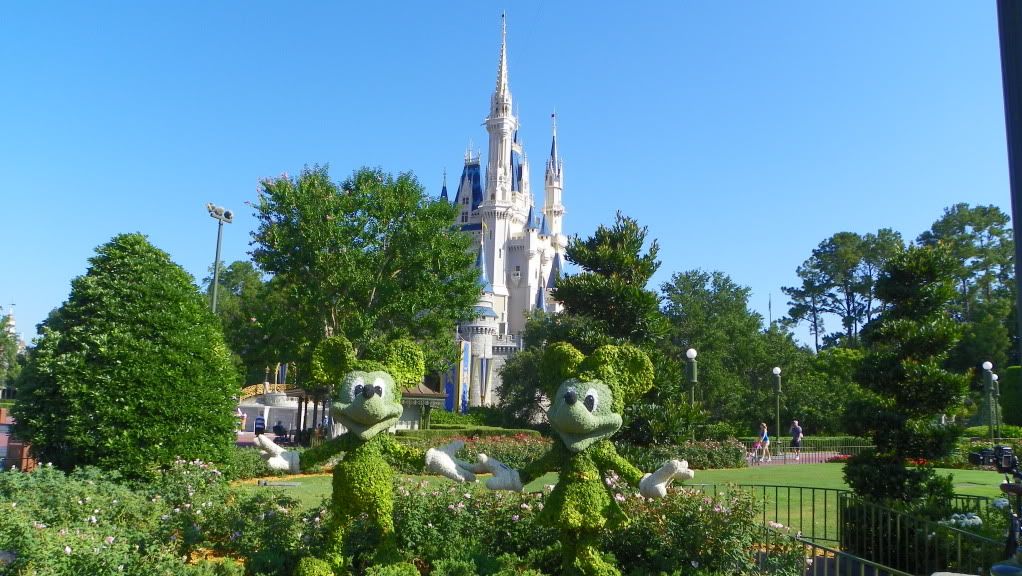 WDW2011055.jpg