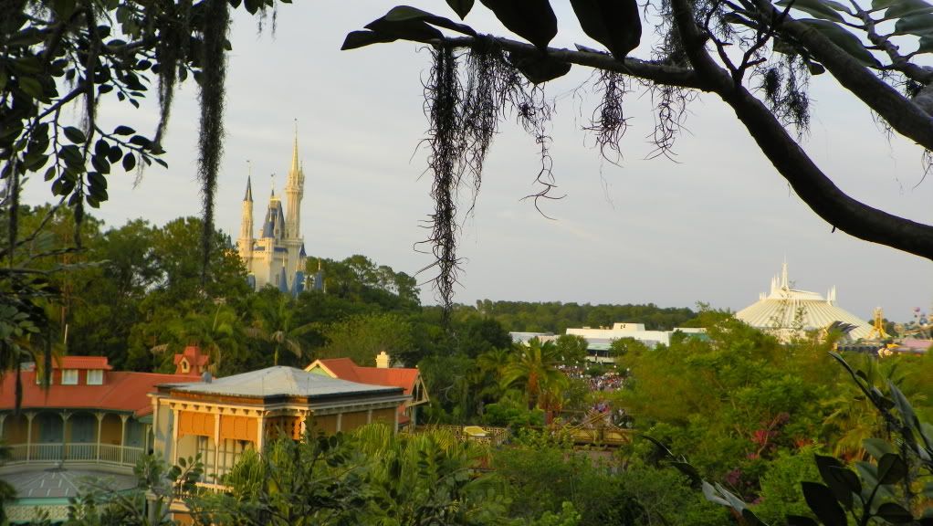 WaltDisneyWorld2011655.jpg