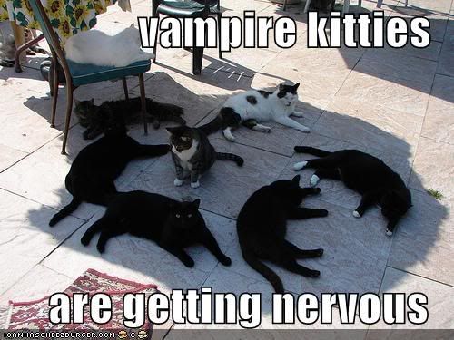 funny-pictures-vampire-cats-shade-s.jpg