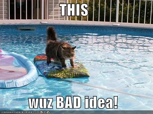 bad idea kitteh