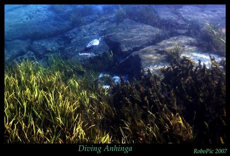 IMAGE: http://i159.photobucket.com/albums/t155/mikerault/0af8dc3d.jpg