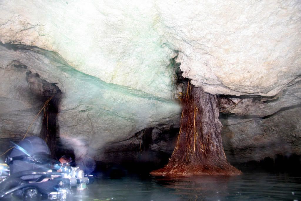 IMAGE: http://i159.photobucket.com/albums/t155/mikerault/Cozumel%20Dives/IMG_5567a.jpg