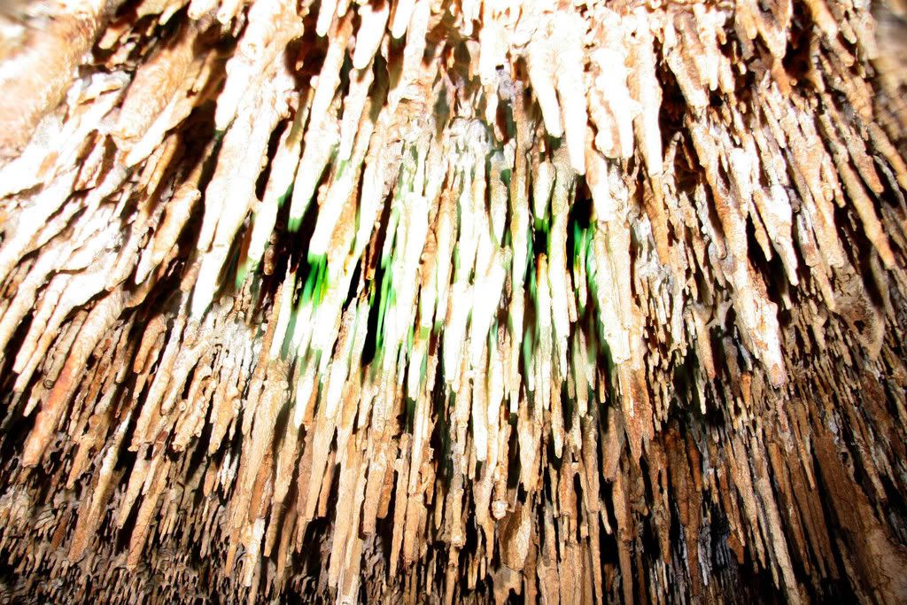 IMAGE: http://i159.photobucket.com/albums/t155/mikerault/Cozumel%20Dives/IMG_5575a.jpg