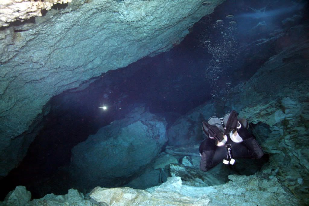 IMAGE: http://i159.photobucket.com/albums/t155/mikerault/Cozumel%20Dives/IMG_5604a.jpg