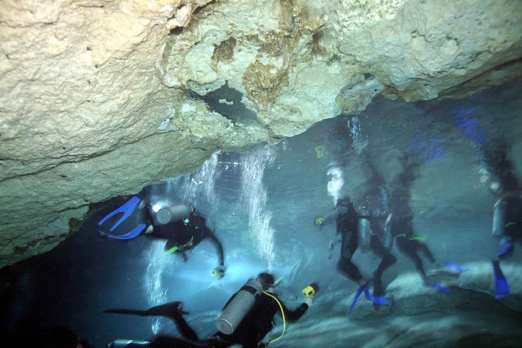 IMAGE: http://i159.photobucket.com/albums/t155/mikerault/Cozumel%20Dives/IMG_5618a.jpg