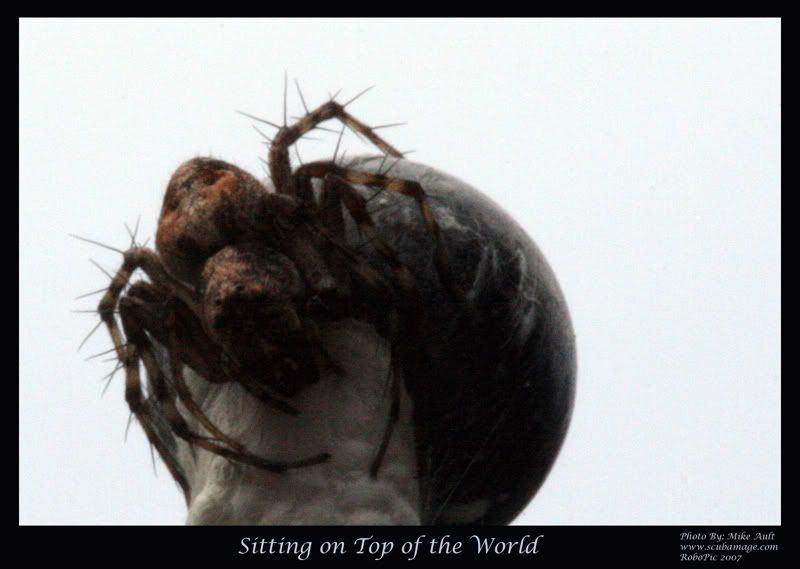 IMAGE: http://i159.photobucket.com/albums/t155/mikerault/top_of_world800.jpg