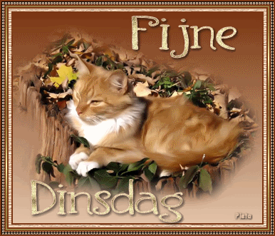 Fijne dinsdag Pictures, Images and Photos