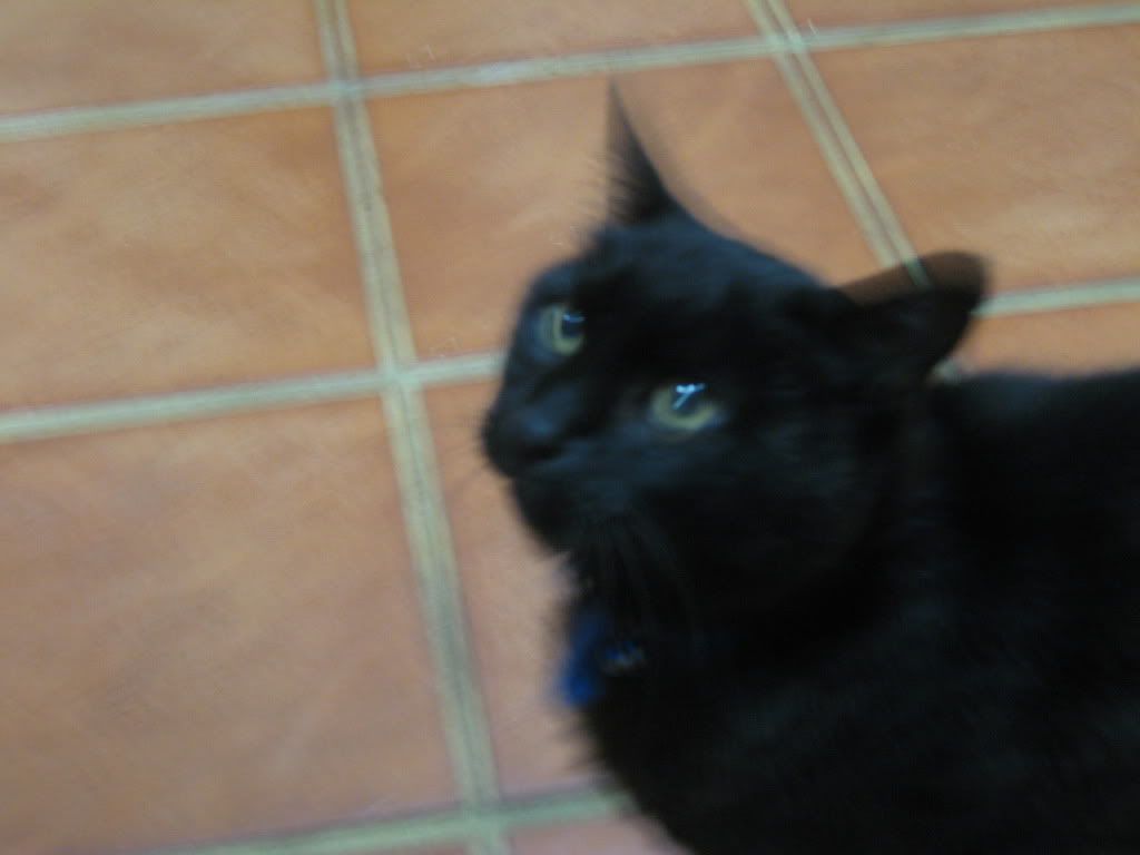 20090207_043.jpg