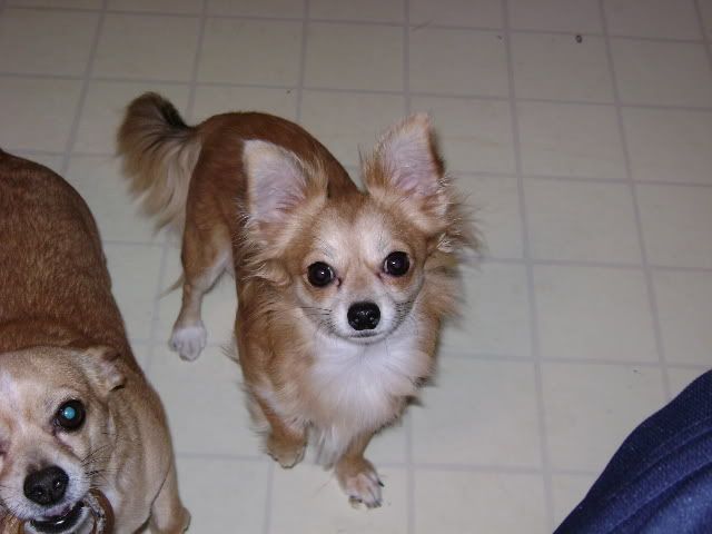 DSC00002.jpg