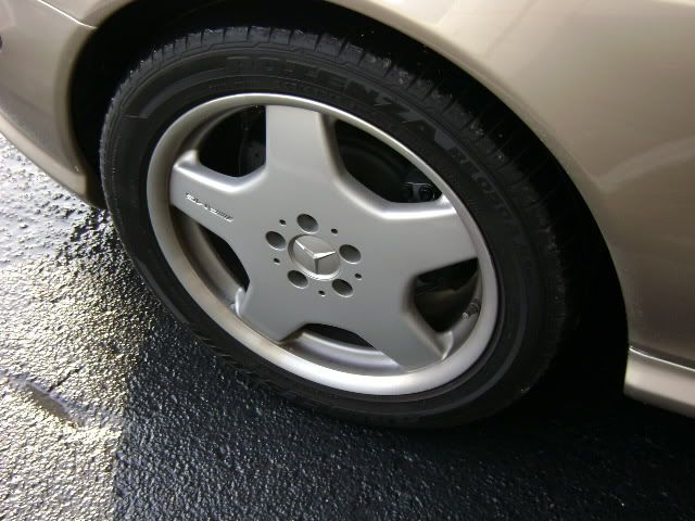 DSC00004.jpg