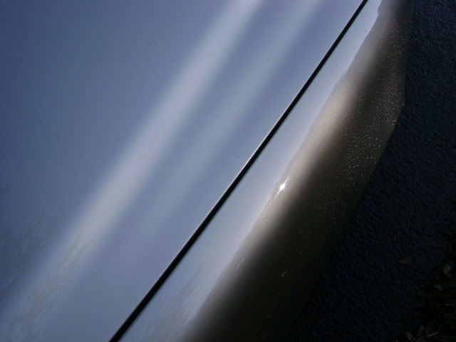 DSC00008.jpg