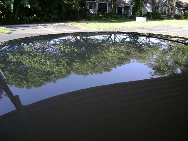 DSC00011.jpg