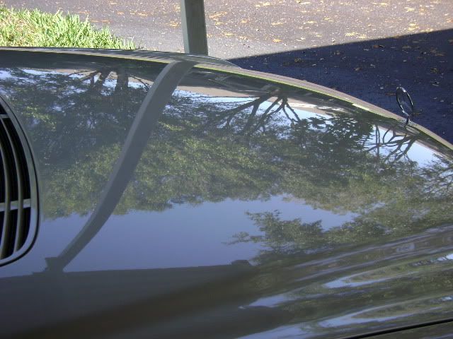 DSC00013.jpg