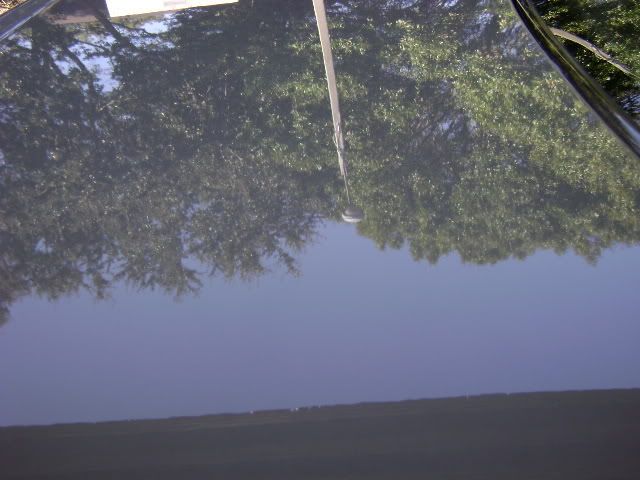 DSC00015.jpg