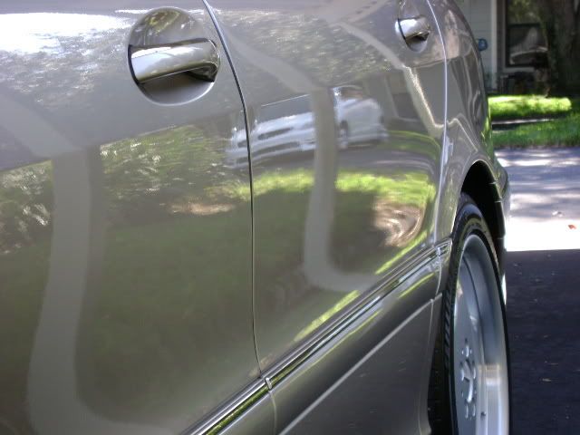 DSC00017.jpg