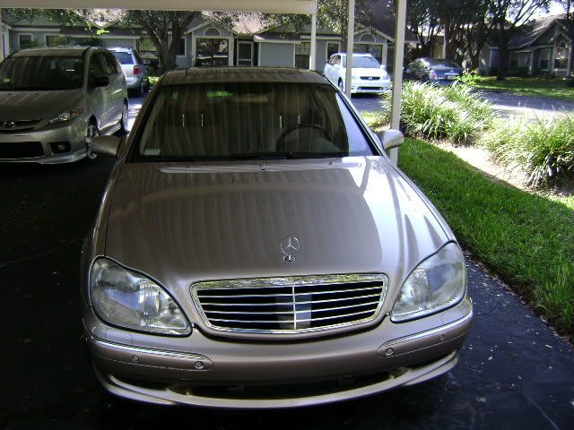 DSC00018.jpg