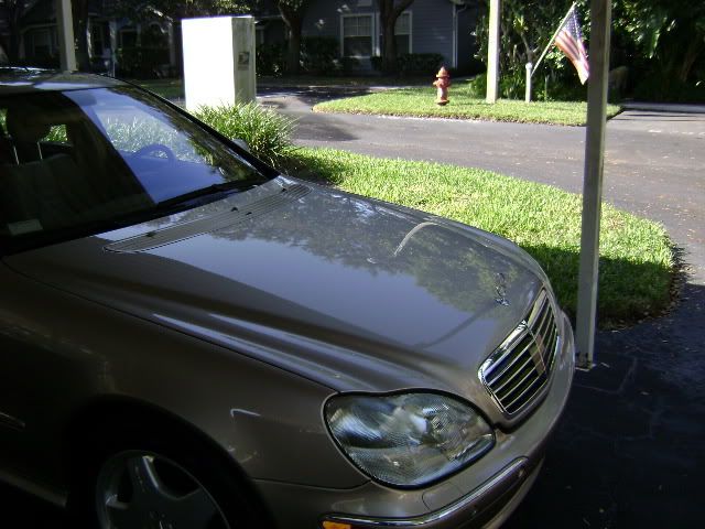DSC00019.jpg