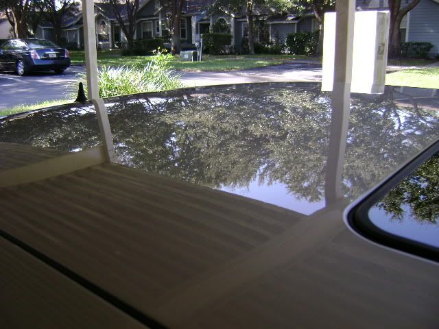 DSC00020.jpg