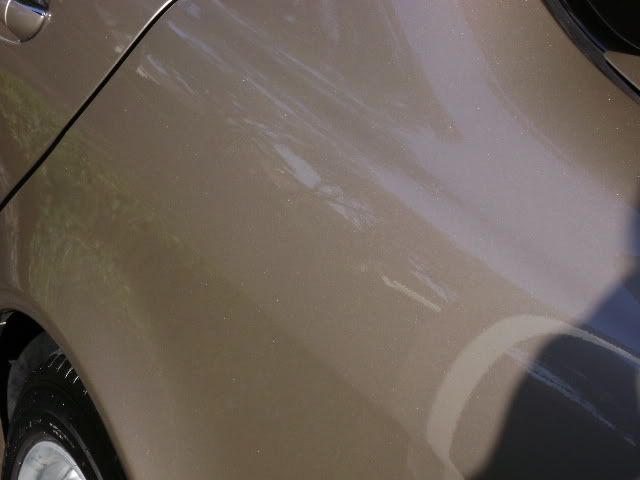 DSC00022.jpg