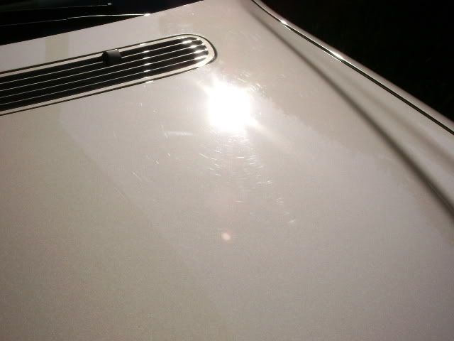DSC00023.jpg