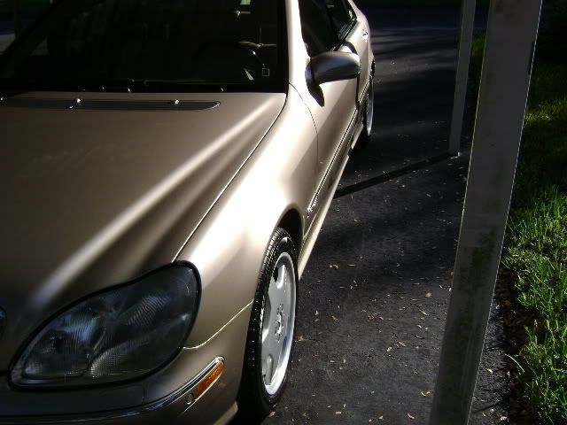 DSC00026.jpg