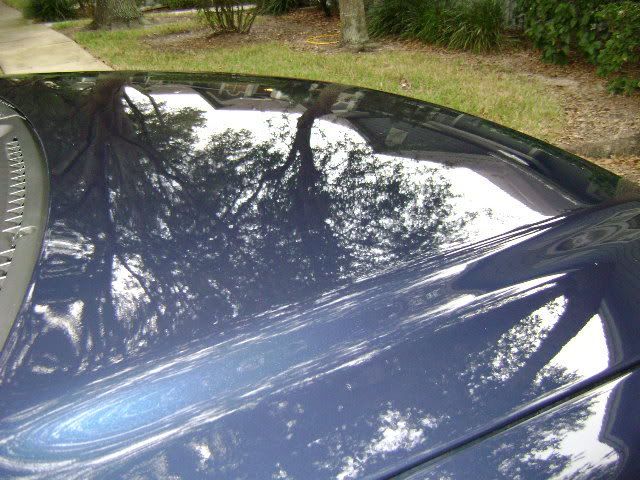 DSC00040.jpg