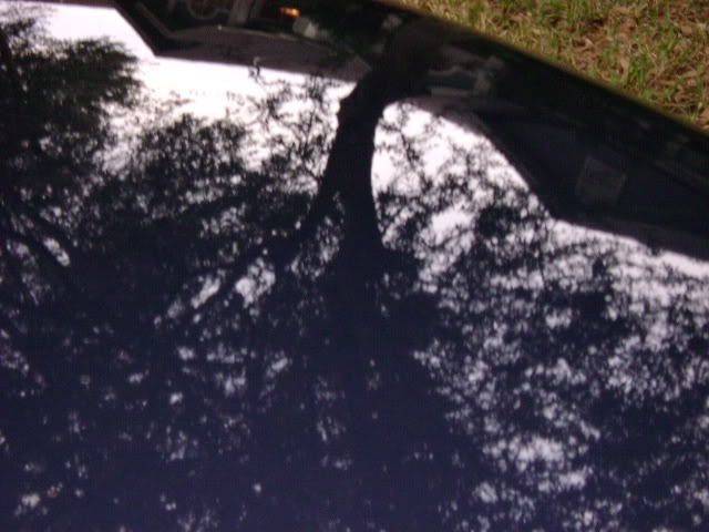 DSC00041.jpg