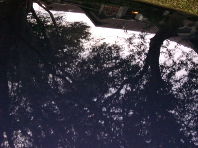 DSC00042.jpg