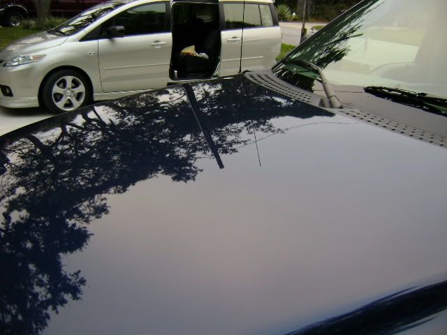 DSC00049.jpg
