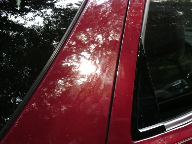 DSC00055.jpg