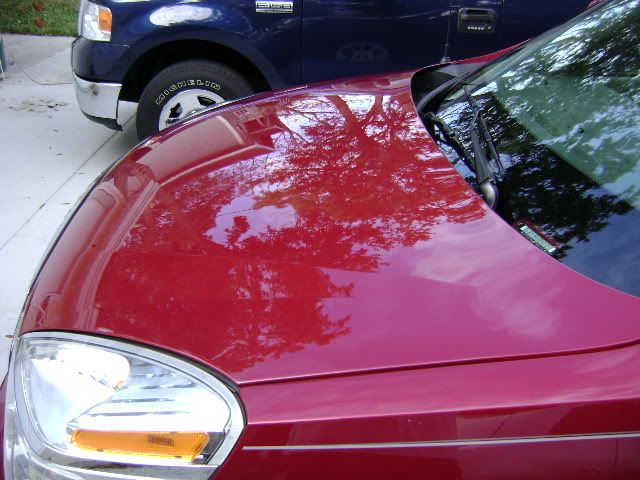 DSC00065.jpg