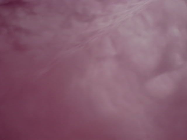 DSC00070.jpg