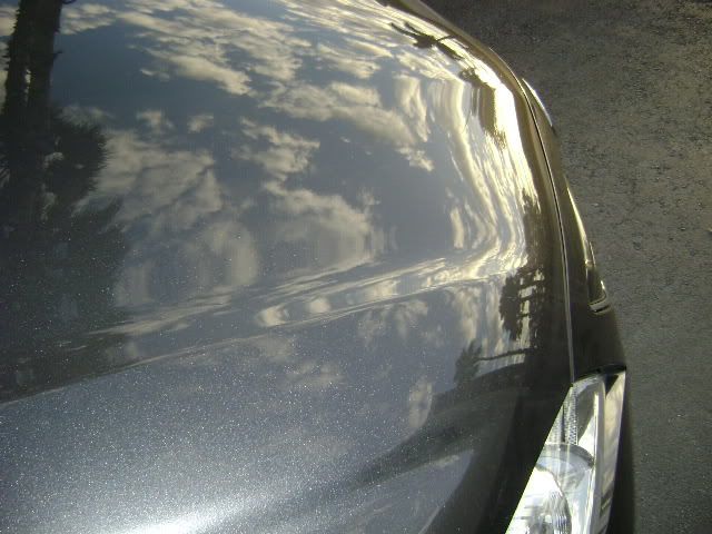 DSC00326.jpg