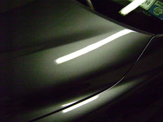 DSC00390.jpg