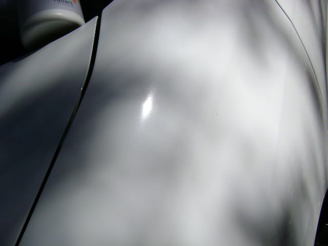 DSC00396.jpg