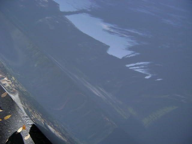DSC00407.jpg