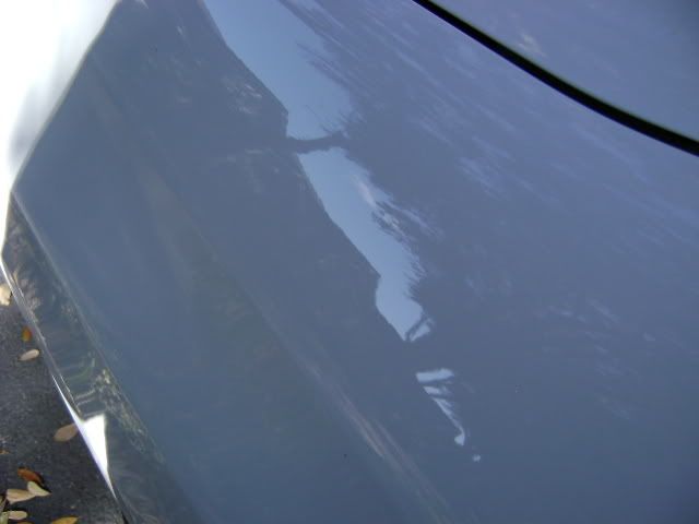DSC00408.jpg