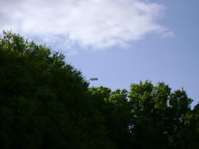 Picture436.jpg
