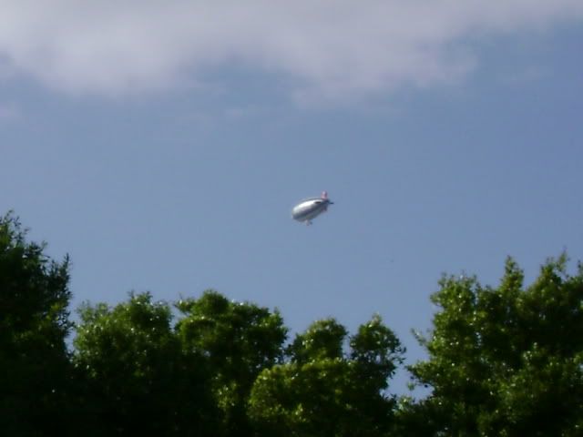 Picture443.jpg