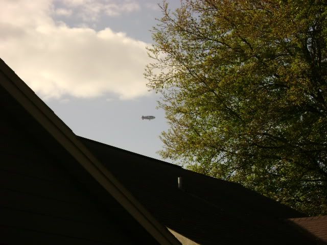Picture445.jpg