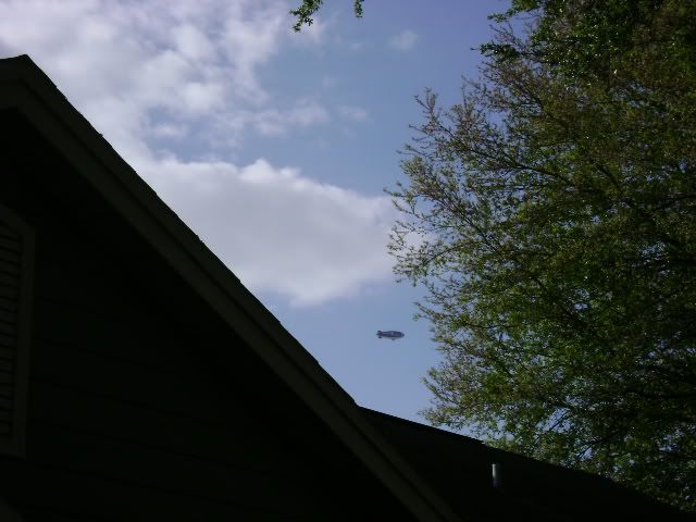 Picture446.jpg