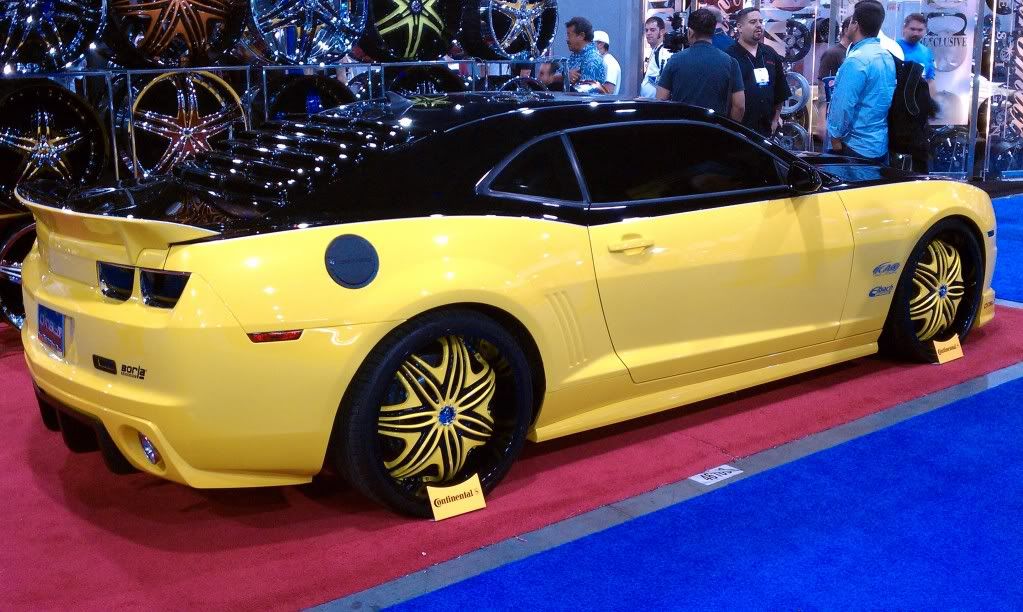 bryancamaro1.jpg