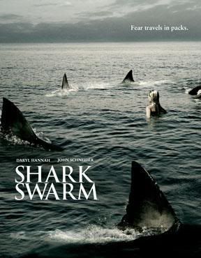 shark swarm