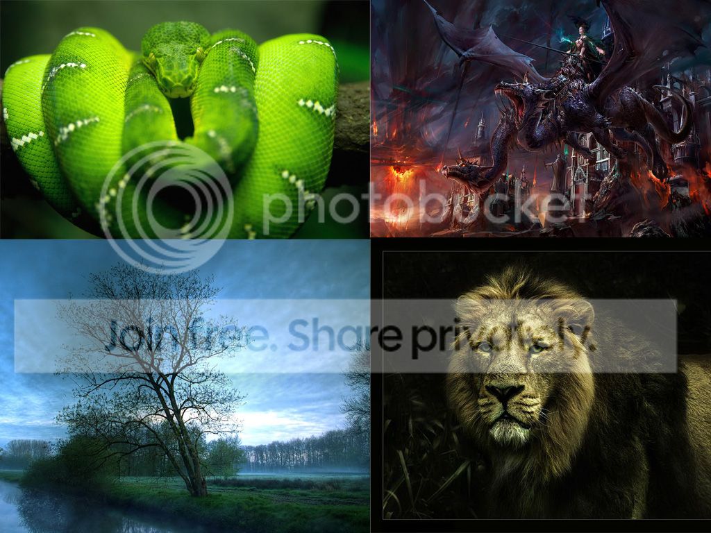 Wallpapers Rar Download